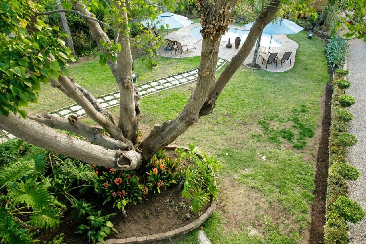 Oakdene Guest House Oudtshoorn Esterno foto